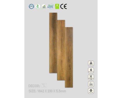 Sàn nhựa SPC Vinapoly 619 