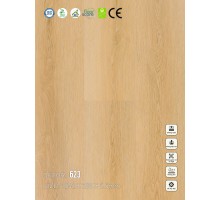 Sàn nhựa SPC Vinapoly 623