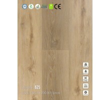 Sàn nhựa SPC Vinapoly 625