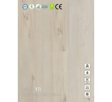 Sàn nhựa SPC Vinapoly 635