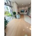 Sàn Nhựa MSFLOOR 6536