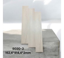 Sàn Nhựa Wittet 5020-2