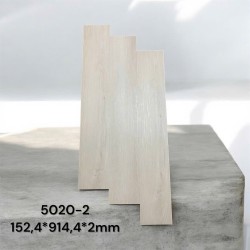 Sàn Nhựa Wittet 5020-2