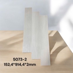 Sàn Nhựa Wittet 5073-2