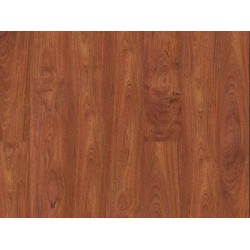 Sàn gỗ Binyl TL8459