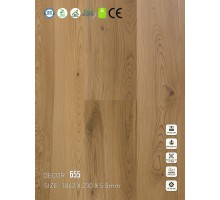 Sàn nhựa SPC Vinapoly 655