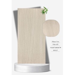 Tấm Ốp Than Tre NP 117