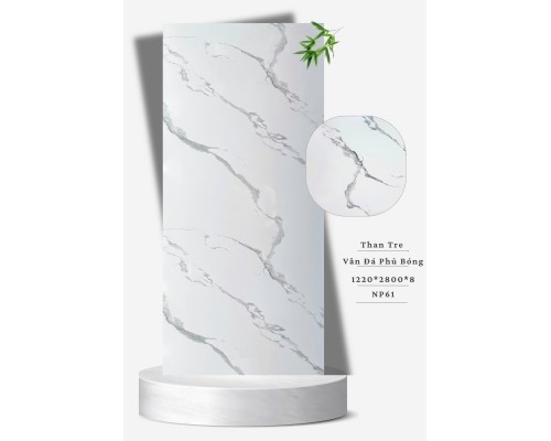 Tấm Ốp Than Tre NP 61