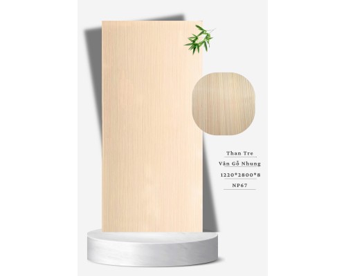 Tấm Ốp Than Tre NP 67