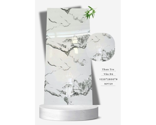 Tấm Ốp Than Tre NP 729