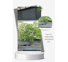  Tấm Ốp Than Tre Vân Tráng Gương