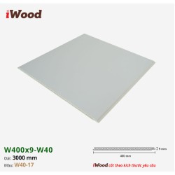 Tấm ốp Nano iWood W40-17