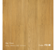 Sàn gỗ Nam Việt F12-66