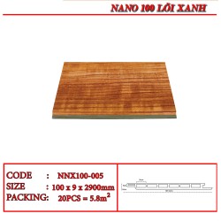 Tấm ốp nano Human NNX100-005