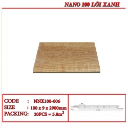 Tấm ốp nano Human NNX100-006