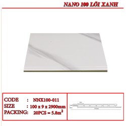 Tấm ốp nano Human NNX100-011